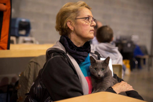 Anne avec INGO, Prix spécial et CAC