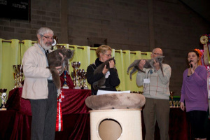 Anathai, Ingo et une Nebelung